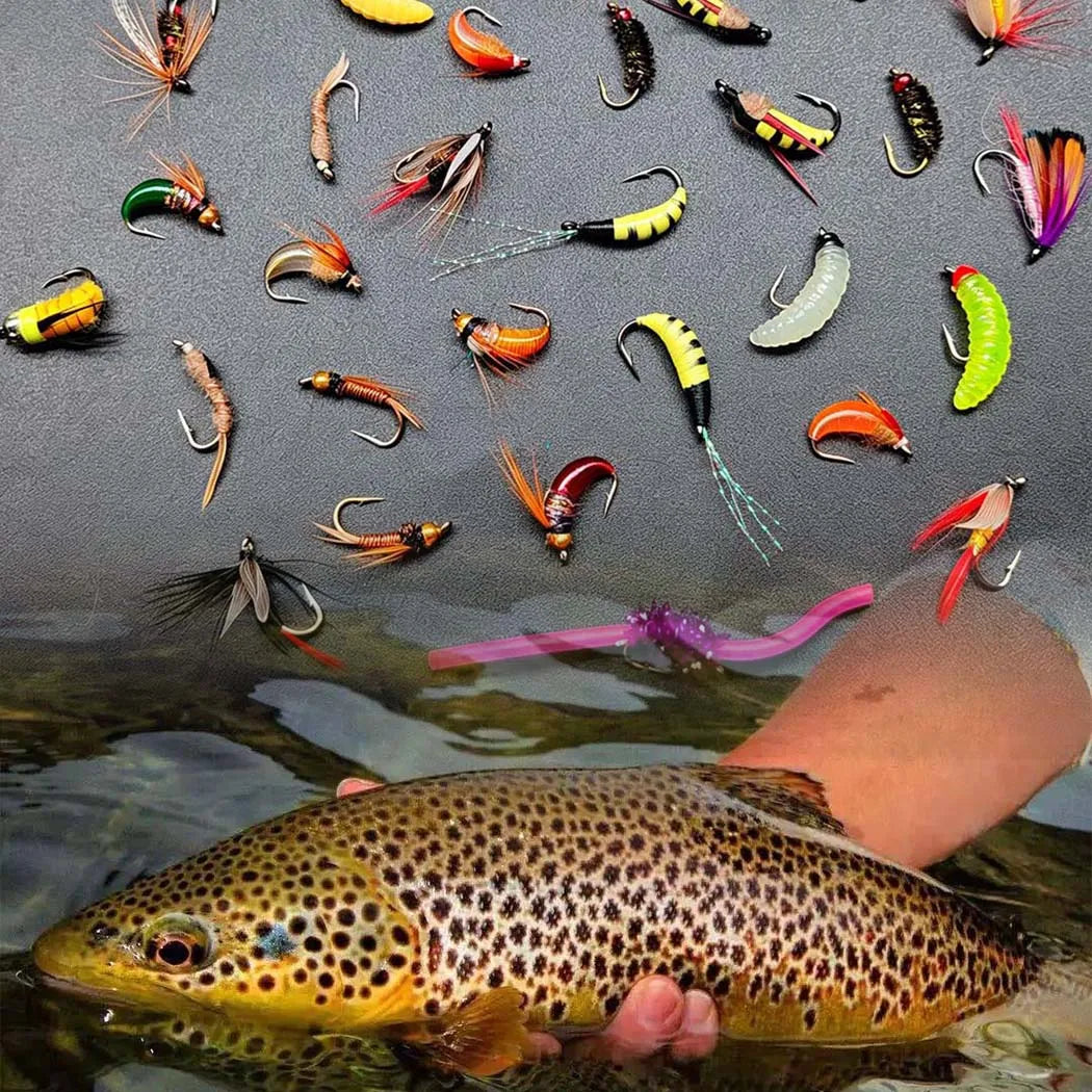 2 Boxes Bundle(Total 112Pcs Flies)Fly Fishing Flies Set with Fly Box, 2 Boxes Dry Wet Nymph #4#6#8#10 Hooks for Trout Salmon Bass